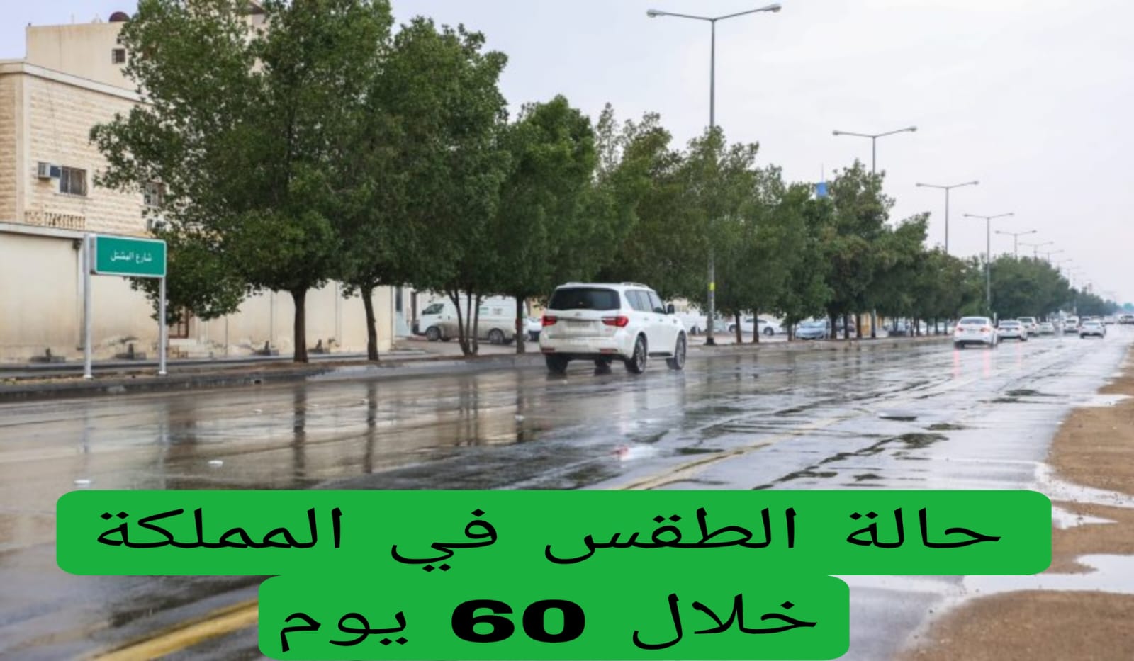 حالة الطقس في المملكة خلال 60 يوم 