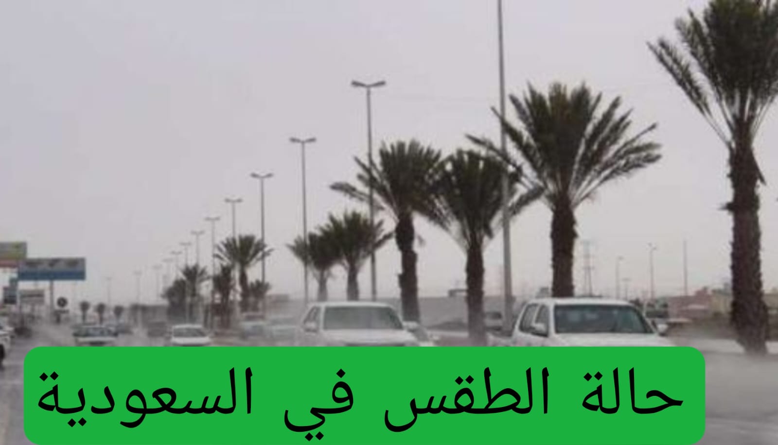 حالة الطقس في السعودية 